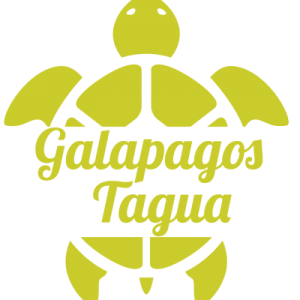 Tagua Jewelry Store