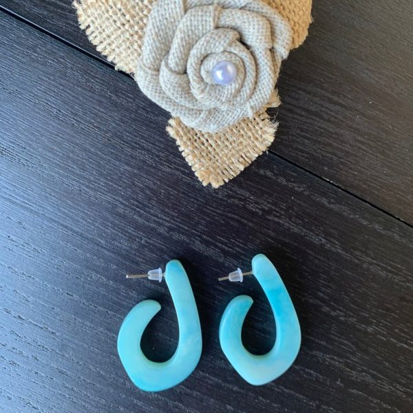 Aqua Blue Tagua Nut Hoop Earrings